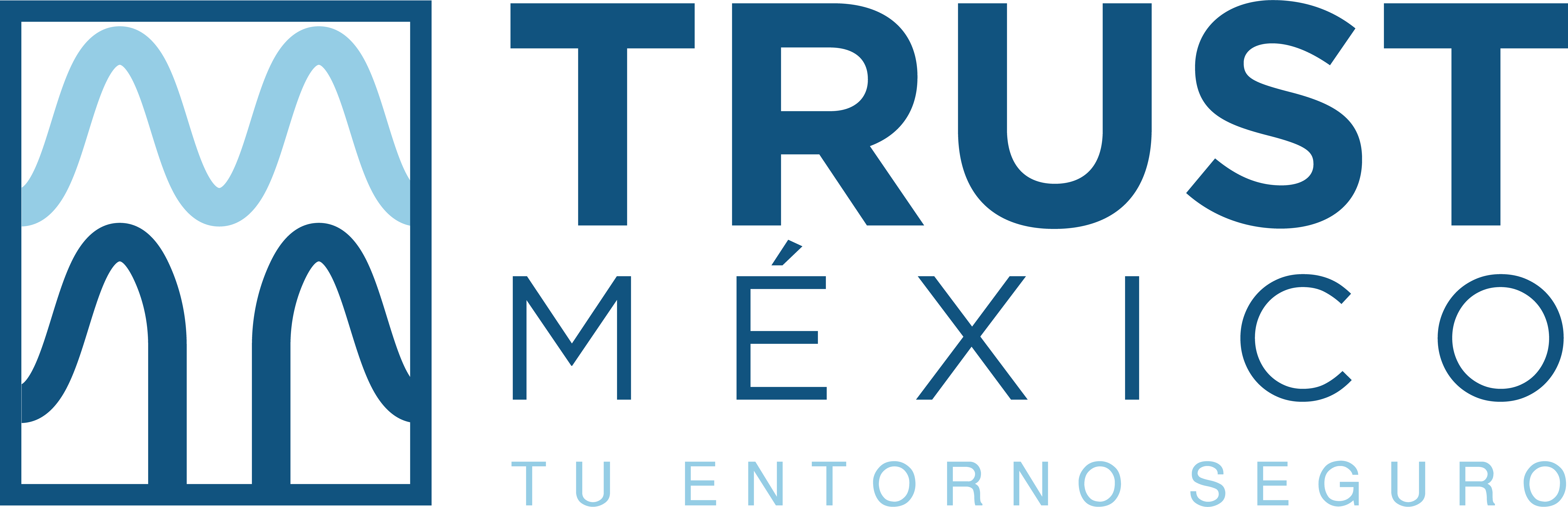 Trust Mexico │Tu entorno seguro